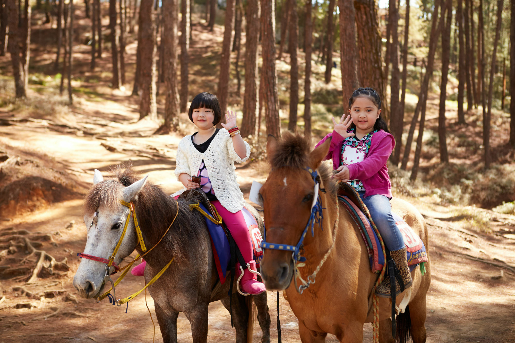 The Manor At Camp John Hay Hotel Baguio City Kültér fotó